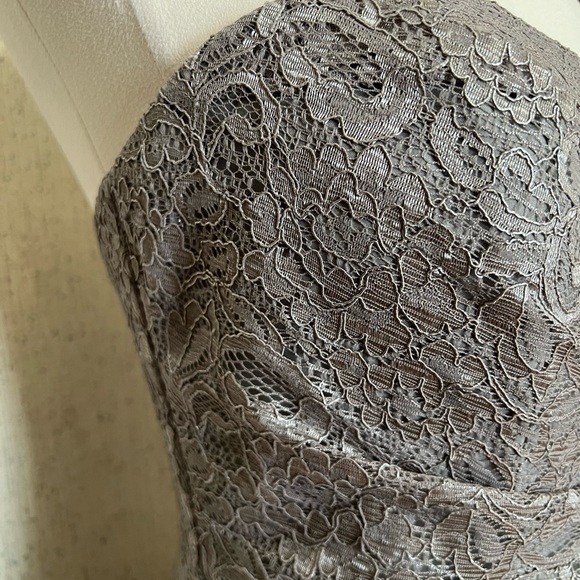 David’s Bridal Elegant Grey Lace Evening Dress maxi dress. - Picture 4 of 7